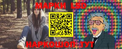 тгк Бердск