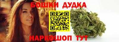 тгк Бердск