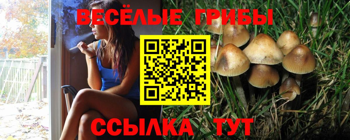 Псилоцибиновые грибы Cubensis Рассказово