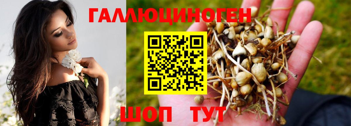 Псилоцибиновые грибы Psilocybe  Вход с VPN  Рассказово  Псилоцибиновые грибы MAGIC MUSHROOMS 
